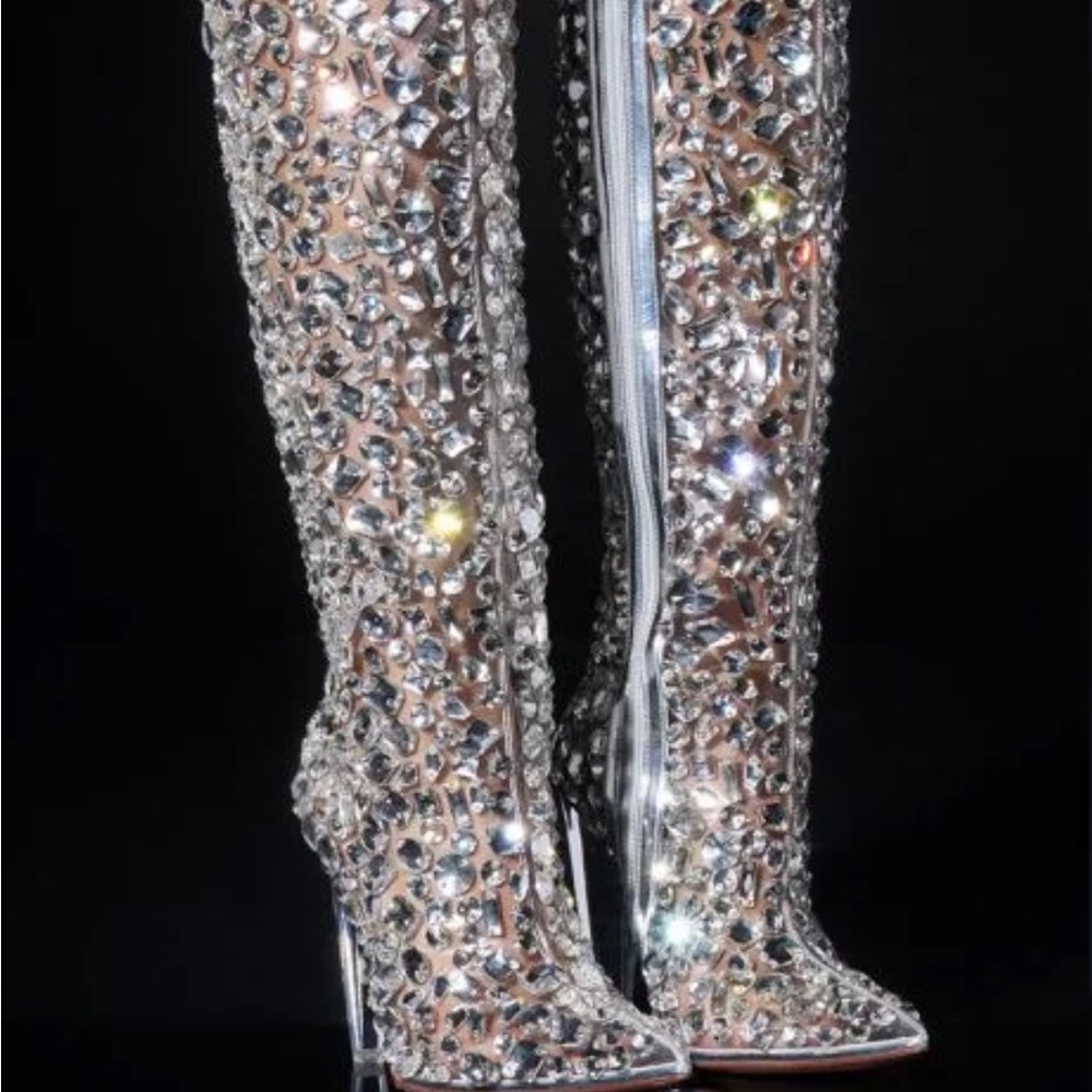 Tall knee high clear and silver boot. Brand new in box. Women’s size 11.